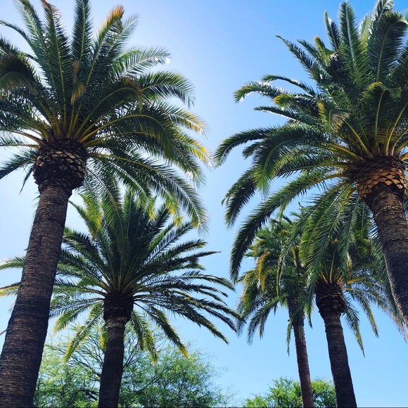 Meet your Posher, Lori - Picture 2 of 2